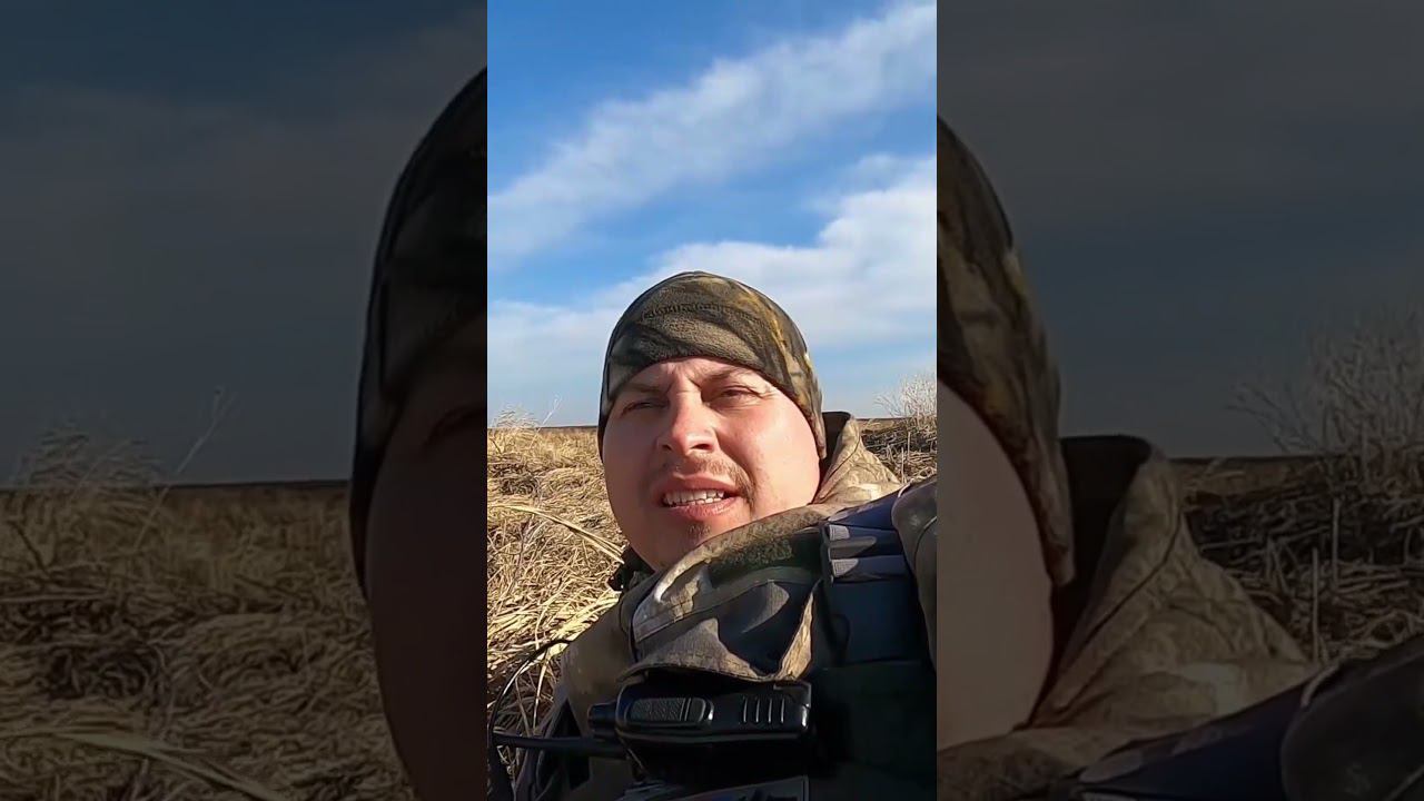 Весенняя Охота на Селезня. Добыл Свиязя  #охота #охотанауток