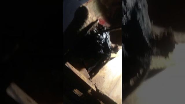 Смола в место шумки. смотреть онлайн