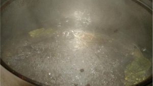 Моховики маринованные