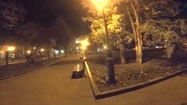 Хаски чуть не попал под машину / Лекси, Майк и Рокки на прогулке без поводков