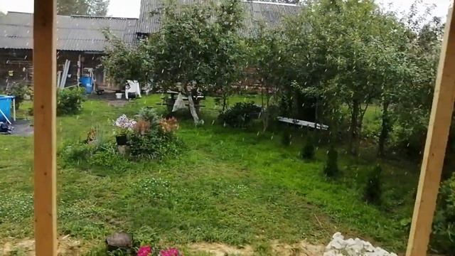 Деревня. Выходной. Летучая мышь смотреть онлайн