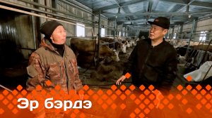 «Эр бэрдэ»   (09.11.23)