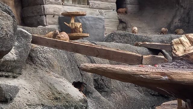 Эверленд Южная Корея 🎡🎠🎢🎪 смотреть онлайн