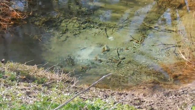 Речка на Nikon P500 смотреть онлайн