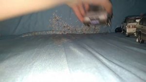 Бумажные машины