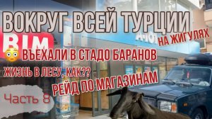 Вокруг ВСЕЙ Турции на ЖИГУЛЯХ!😱Живем в палатке в лесу!⛺️Въехали в стадо баранов!😬Обзор супермарке