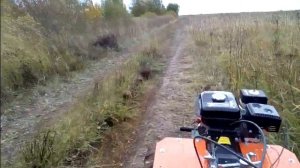 везу дрова на мотоблоке