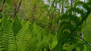 Ловля форели в Абхазии.