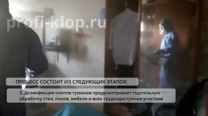 Как выглядит обработка холодным туманом квартиры от клопов?