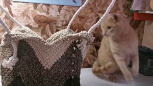 сумка "магнолия " лёгкий вариант научиться вязать крючком