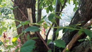 Донецкая область, Дружковка. 01.08.22