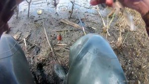 РЫБАЛКА НА ДОНКУ В ВЕТРЕНУЮ ПОГОДУ