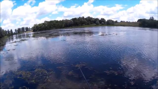 Зябликов ловит Видеоблог №46.Наши яй.. круче. Лягушки, проходимцы, слайды часть 3 смотреть онлайн