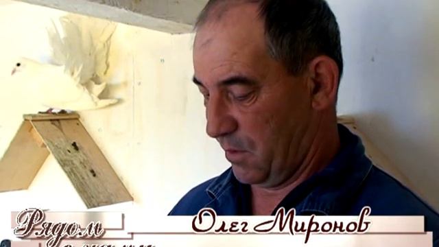 Голуби, кролики и мы. авг.2012 смотреть онлайн