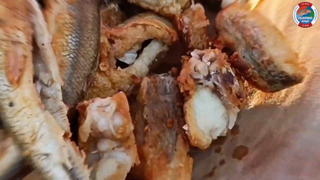 Чир и корюх жаренные на сковородке!👍 смотреть онлайн