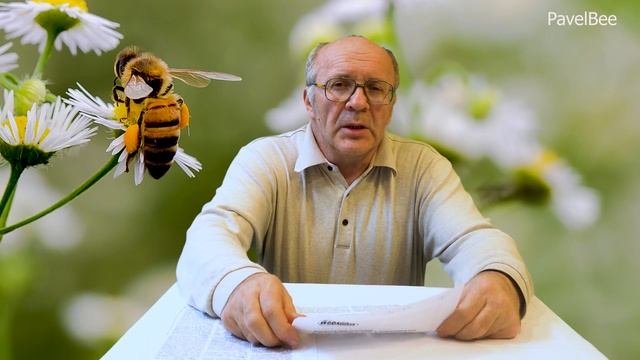 №117 Болезни Пчёл | Мешетчатый расплод | медосбор | Взяток | Пчеловодство для начинающих | Пасека