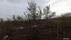 Оборонный рубеж-  район Сайда губа. Мурманская обл.