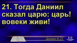 Не любите мира, ни того, что в мире | Проповедь брата с Армении