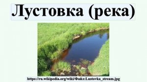 Лустовка (река)