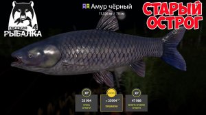 ОТЛИЧНЫЙ КЛЕВ ЧЕРНОГО И БЕЛОГО АМУРА НА ОСТРОГЕ НА НОВОЙ ТОЧКЕ В РУССКОЙ РЫБАЛКЕ 4 РР4