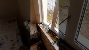 Потолок из вагонки. Браширование вагонки покрытие воском.