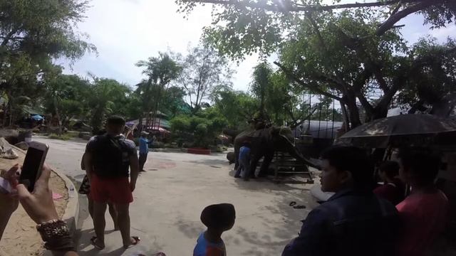 Подготовка к Men`s physique в Таиланде. Поездка в Зоопарк!) смотреть онлайн