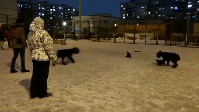 Тольятти смотреть онлайн