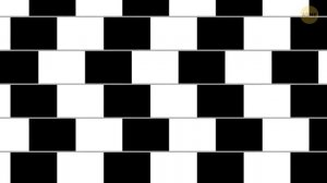 Обман зрения: 10+ оптических иллюзий, которые взорвут вам мозг