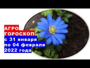 Агрогороскоп с 31 января по 04 февраля 2022 года