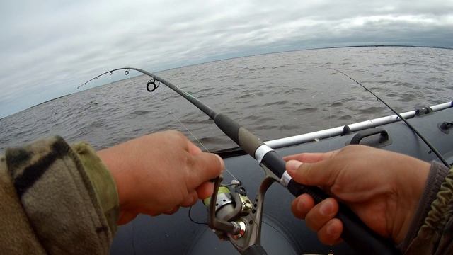 За камбалой. 07.2022 смотреть онлайн