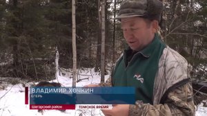 В Томской области открылся сезон охоты на медведей