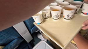 Vietnam Airlines Premium Economy review - Sydney to Ho Chi Minh City