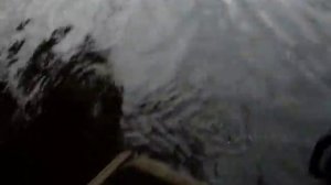 Suzuki DT15 S первый запуск