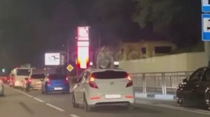 Сводка ЧП по Сочи за 14.11.22 г.