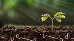 Электромагнитное поле человека - АУРА