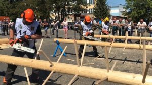 Обрезка сучьев