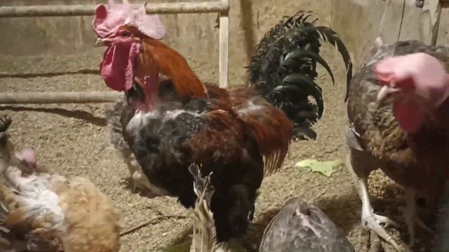 К Пасхе готовьсь!!! смотреть онлайн