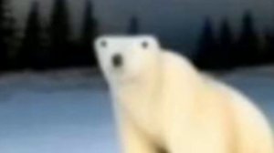 Мем 2026... Страшно ВЫРУБАЙ