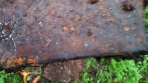 Коп в Карелии. Видео 11
