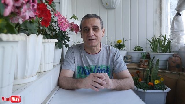ТРОИЦА: Что можно и чего нельзя делать в этот праздник ?