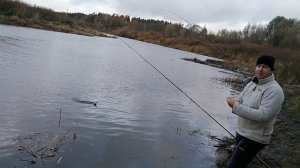 Река Шешупе Ноябрь Отводной Микро джиг