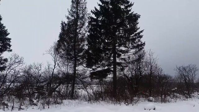 д. Артёмки Можайский ГО - 4 - 20190130 122244 смотреть онлайн