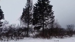 д. Артёмки Можайский ГО - 4 - 20190130 122244