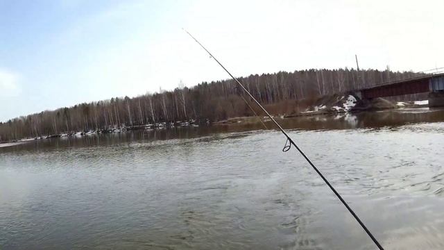 Мормышинг. Рыбалка одного дня. Часть 1.  Пруд. Елец ест Микроприманки