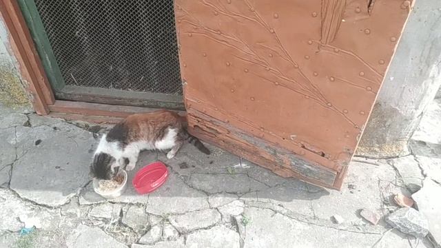 Продвижения в вязании.Запах сирени... смотреть онлайн