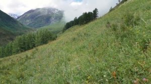 Алтай. Малый Колагаш. Поход по диким местам.