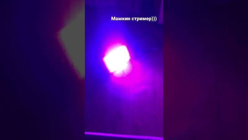 Мамкин стример)))