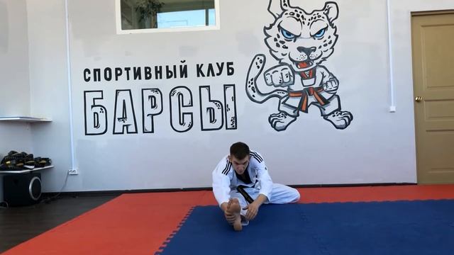 Тренировка по тхэквондо во время карантина для тренировочной группы (понедельник, 13.04.2020) смотреть онлайн