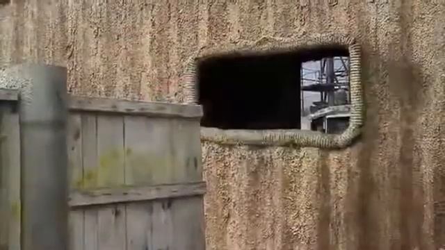 ПК Авангард, г  Барнаул