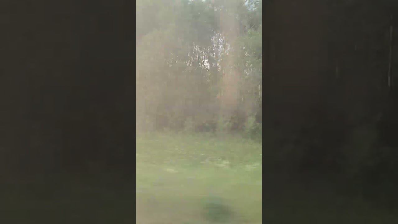 Едем домой ⬛(3) смотреть онлайн